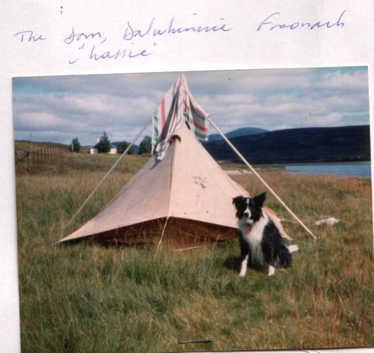 My tent and Lassie at the Shieling