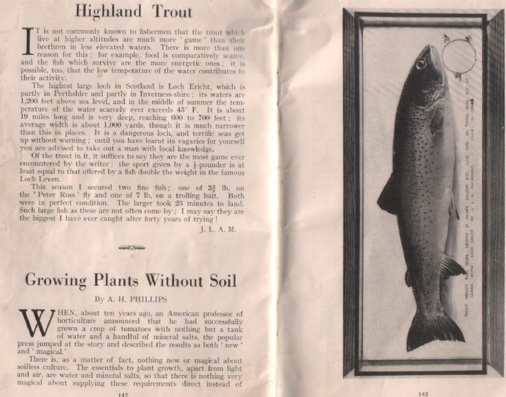 Highland Trout 